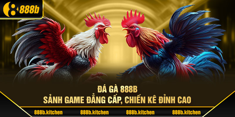 Đá Gà 888B - Sảnh Game Đẳng Cấp, Chiến Kê Đỉnh Cao